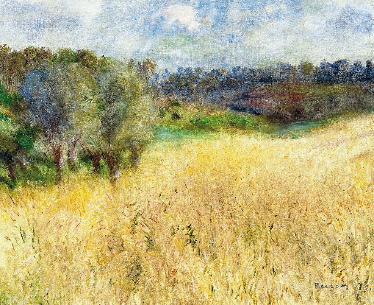 Dejándonos llevar por RENOIR